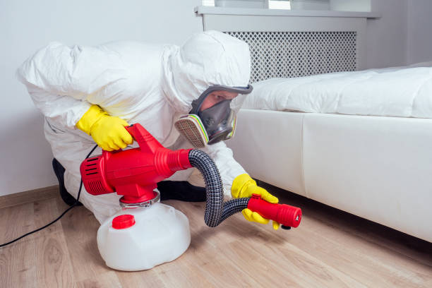 Best Residential Pest Control  in Fairview, TX